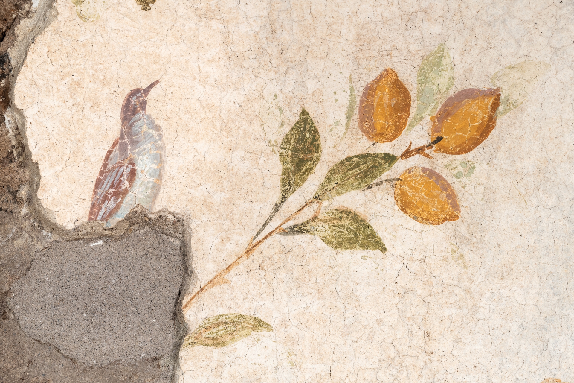 Museu Domus Tiberiana - Detalhe Fresco